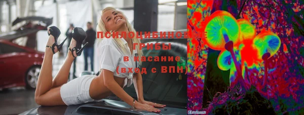 крисы Арсеньев
