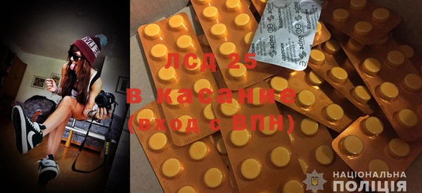 крисы Арсеньев