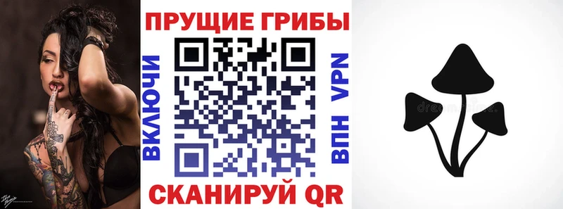Галлюциногенные грибы Cubensis  Свирск 